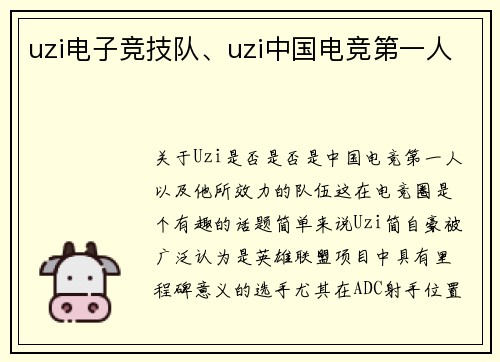 uzi电子竞技队、uzi中国电竞第一人