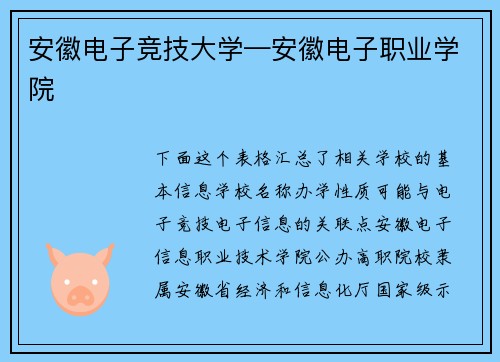 安徽电子竞技大学—安徽电子职业学院